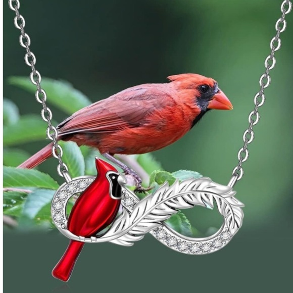 18k Infinity Cardinal Diamond Necklace Angel Feather Messenger from Heav… - Picture 5 of 10
